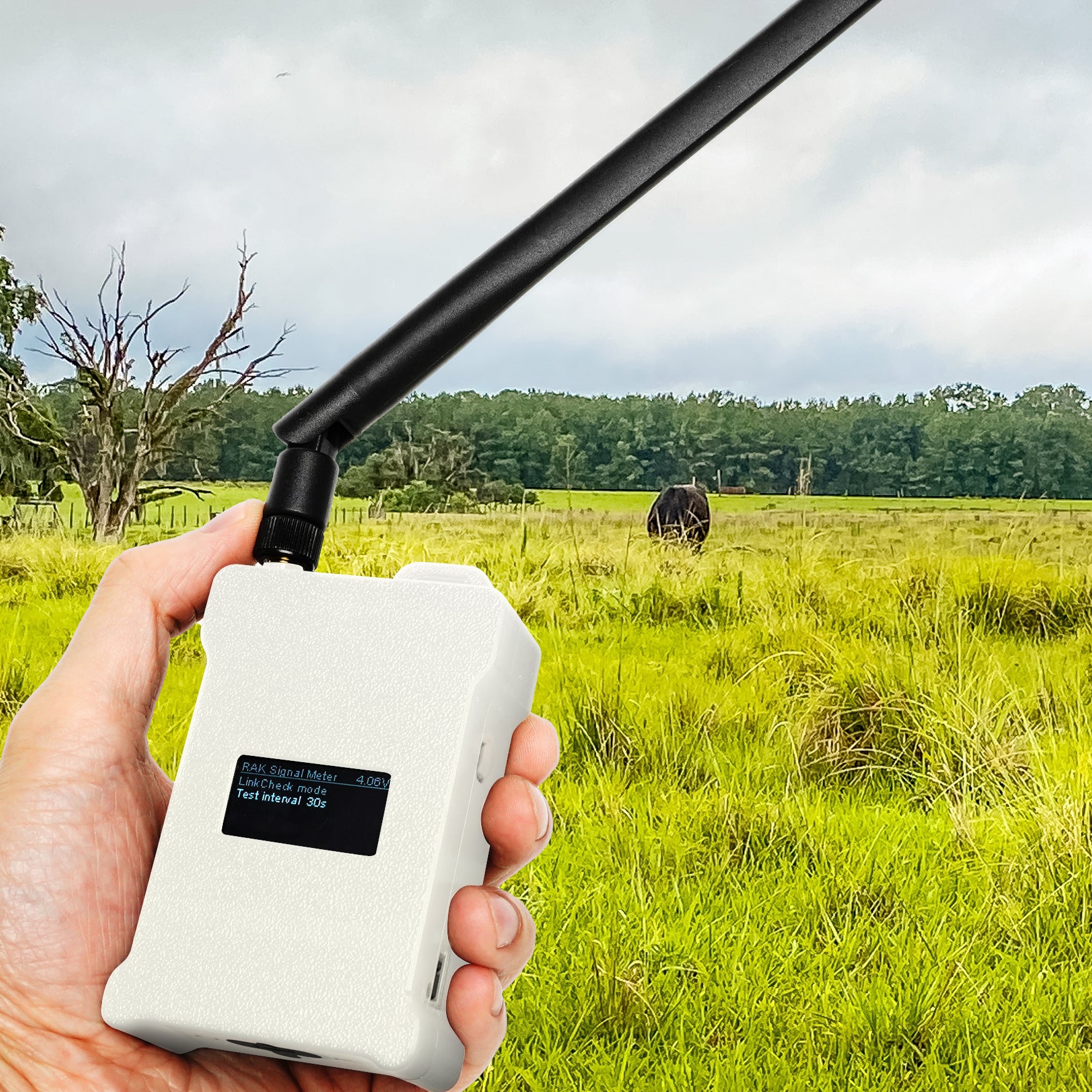 LR2021 LoRa Plus™ Evaluation Kit with 2 x Wio-LR2021 for Europe 868 MHz LR2021 LoRa Plus™ Evaluation Kit with 2 x Wio-LR2021 for Europe 868 MHz