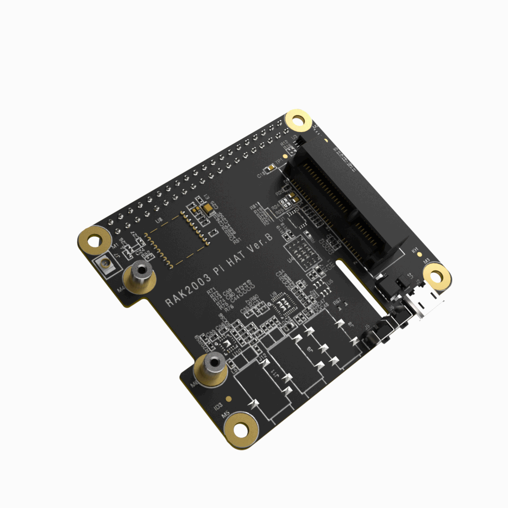 Connect concentrator modules to Raspberry Pi using the RAK2287 Pi HAT