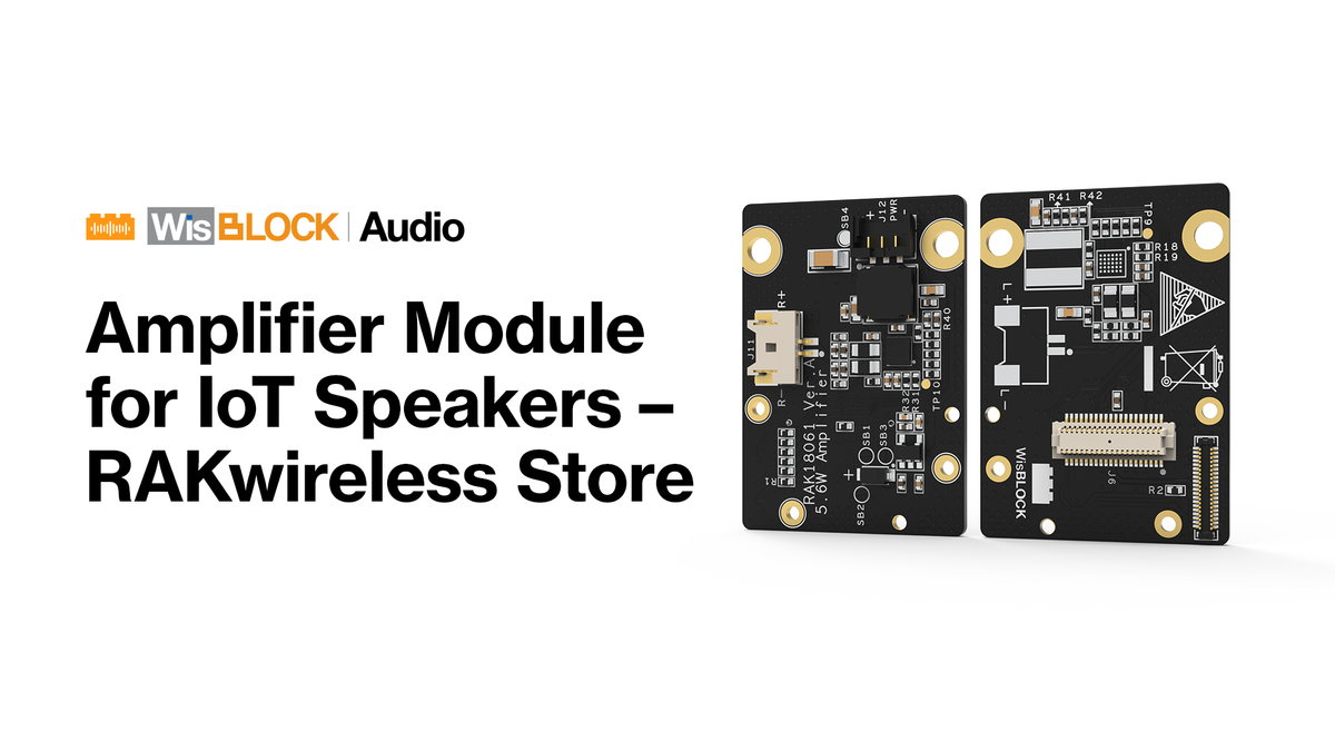Amplifier Module Modular Amplifier Modules for IoT Audio Speakers – RAKwireless Store