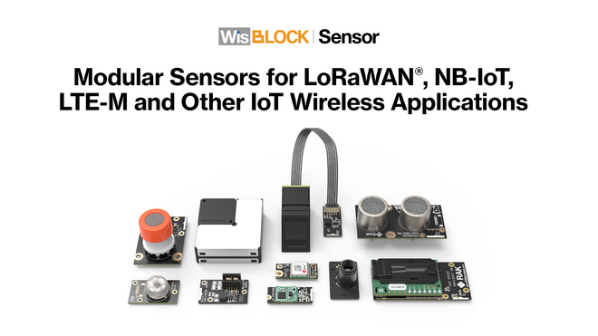Modular Sensors for LoRaWAN, NB-IoT, LTE-M and other IoT Wireless Applications