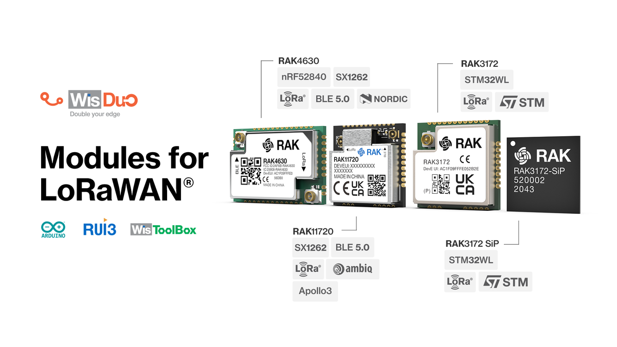 WisDuo LoRaWAN Modules | Long-Range, Low-Power IoT & Hybrid Wireless