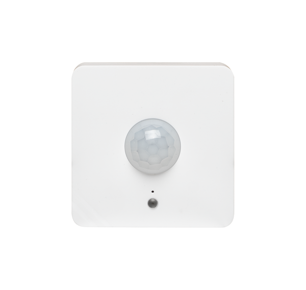 Milesight PIR & Light Sensor | NE202