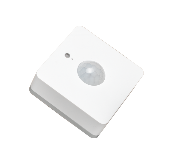Milesight PIR & Light Sensor | NE202