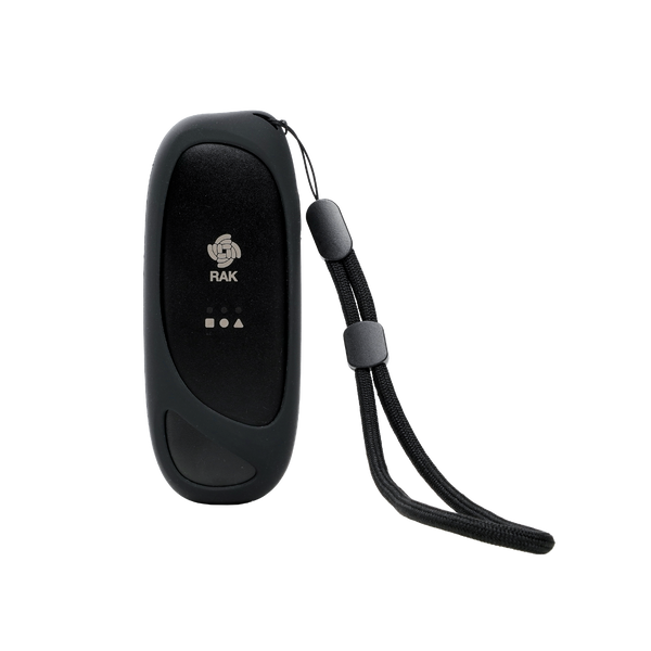WisMesh Pod | Ready-to-Use Mesh Node | RAK10708