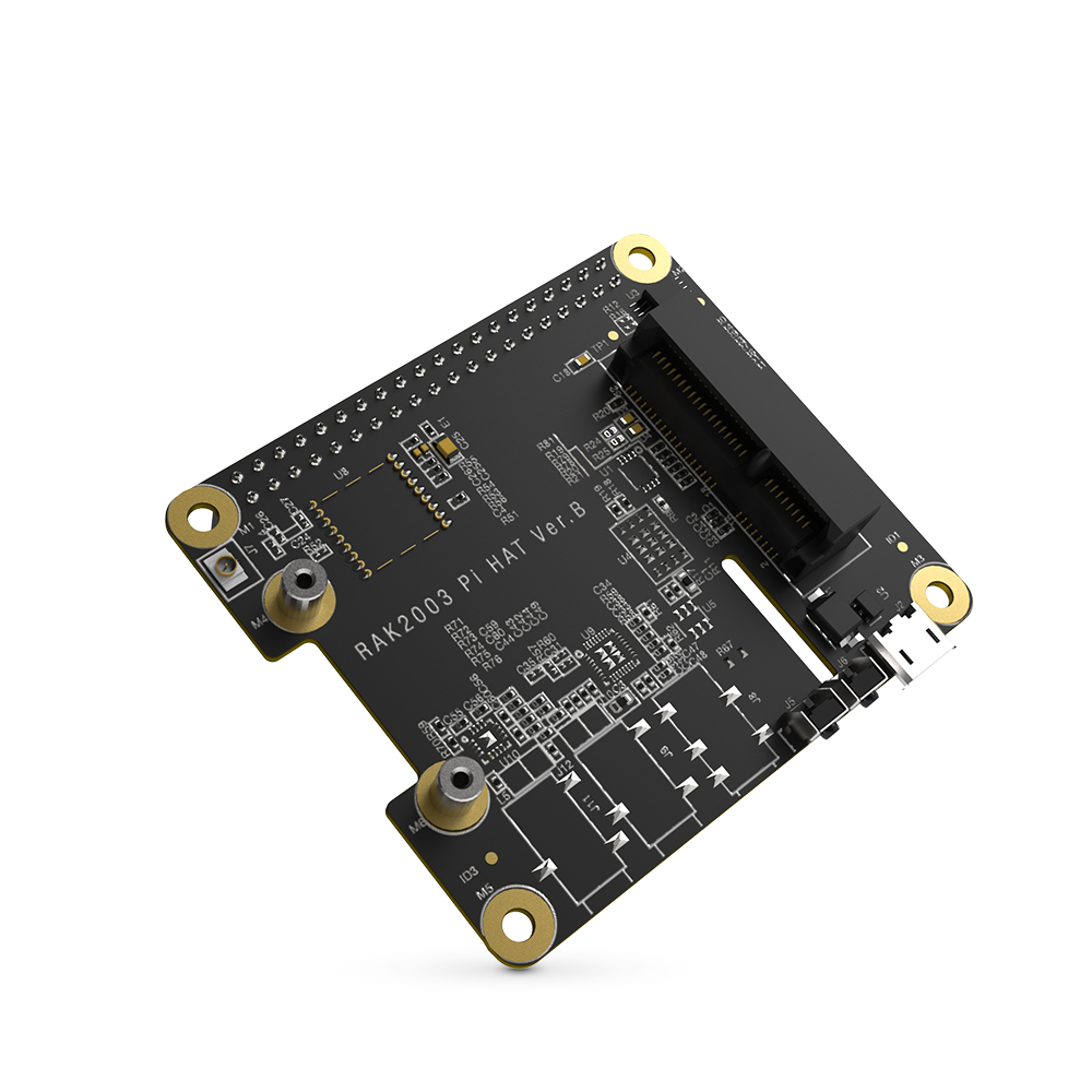 Connect concentrator modules to Raspberry Pi using the RAK2287 Pi HAT