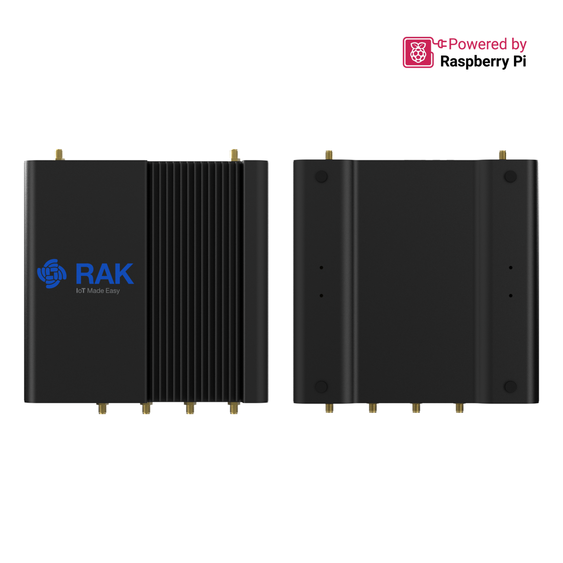 Mini-ITX Raspberry Pi CM4 Carrier Board | RAK7391