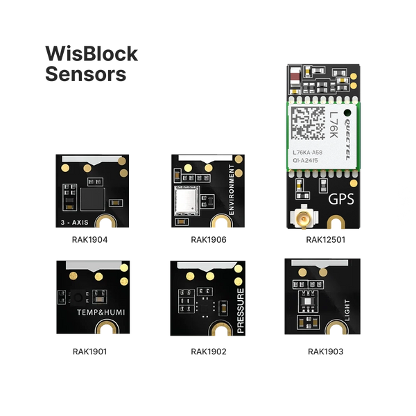 WisBlock Connected Box | All the WisBlock needed to start