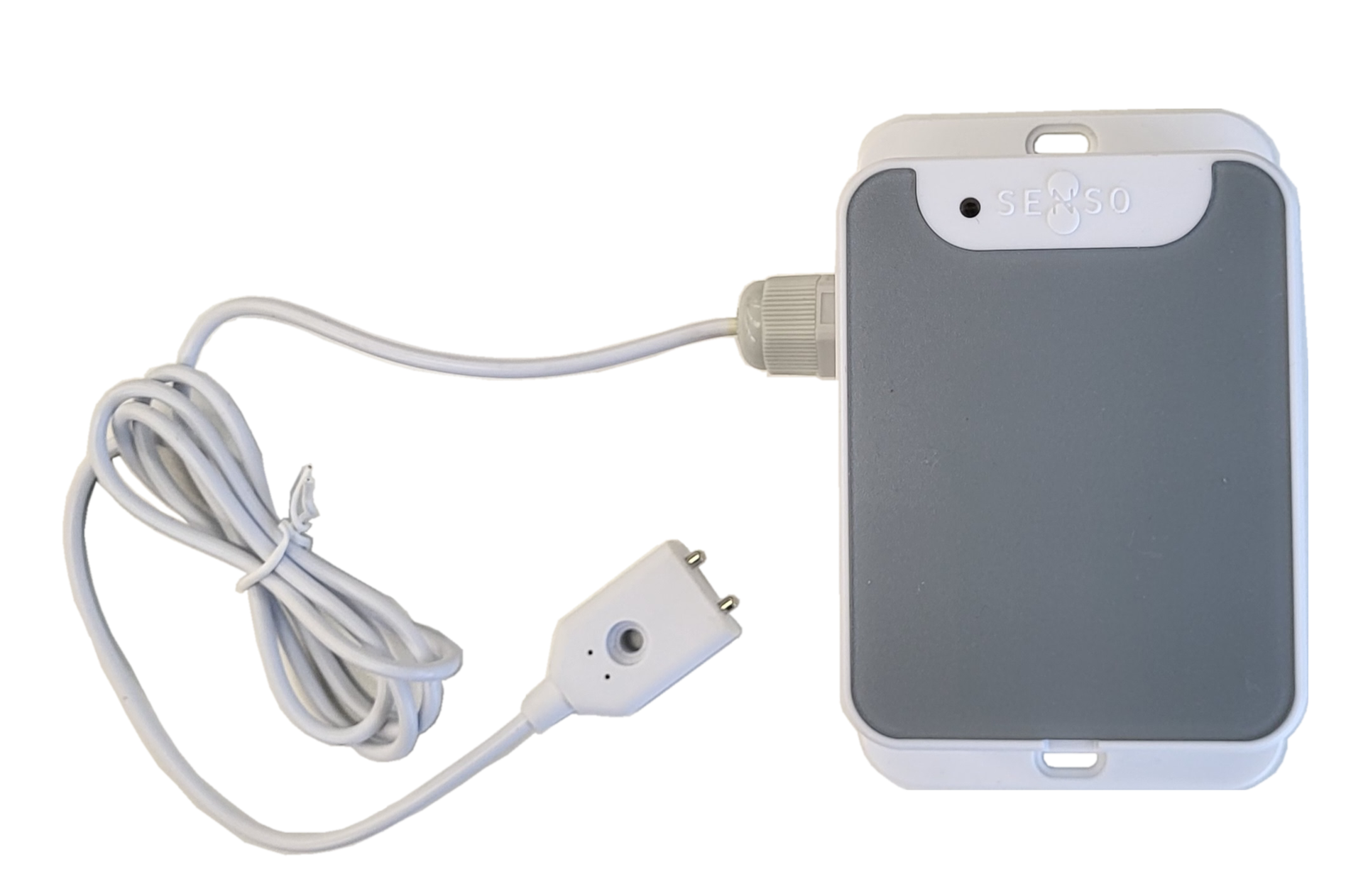 SENSO8 Water Leakage Monitoring Sensor LRS20310/SEN21310 | Advanced LoRaWAN Early Detection System