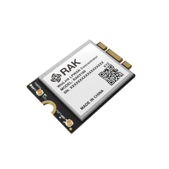 rak5166_c6ce8791-48c7-4dbc-