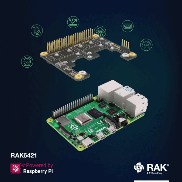 WisMesh Pi HAT RAK6421
