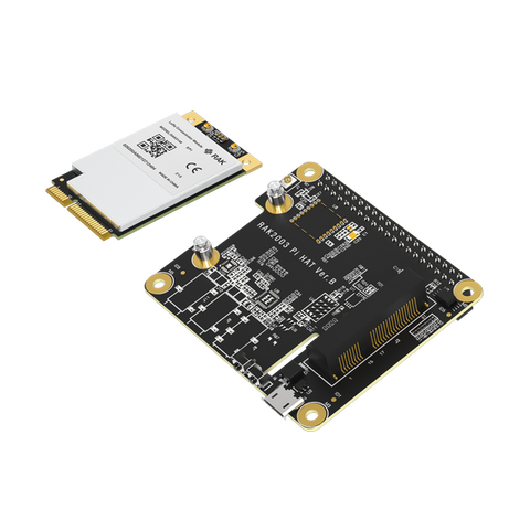 RAK5146 PiHAT Kit for LoRaWAN