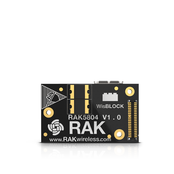 IO Extension Module | RAK5804