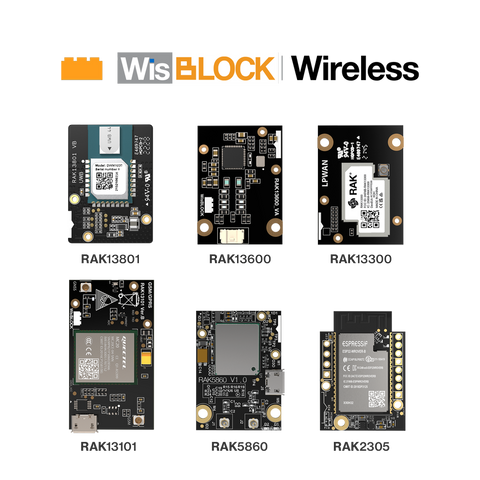 WisBlock Module